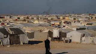 Сирийское правительство и курды договорились об эвакуации семей из лагеря Аль-Холь