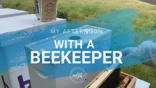 Local Love | Season 2 Episode 1 | Smith Mills Apiaries