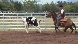 Jan Zweers - Cowhorse Training
