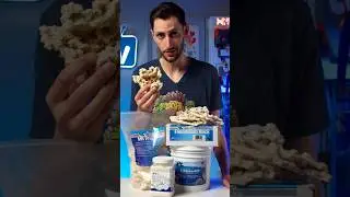 Aquascapes That DON'T Come From the Ocean! #brstv