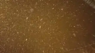 çobanın duası