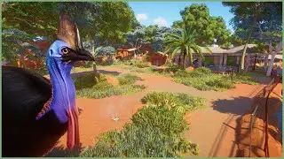 🦤Cassowary habitat & reptile cave | Rudania Zoo | Planet Zoo | speedbuild🌵