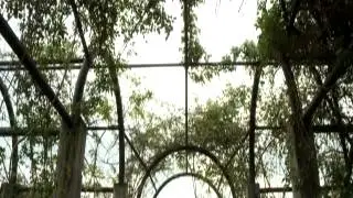 City of Greensboro Outdoor Wedding Locations