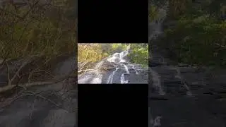🥰Yercaud  #shorts #new #Yercaud #kiliyurwaterfalls #trendingshorts