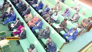 COVID money lost? - Parliament starts inquiry into alleged swindling of over 50 Bn.