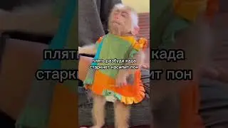 #крипта #юмор #ретродропы