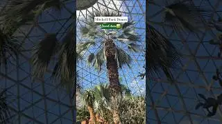 Desert dome #shorts #explore  #travel #wisconsin