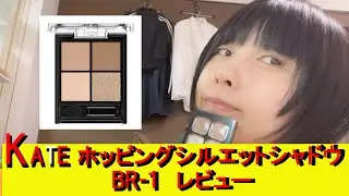 KATE ホッピングアイシャドウ　BR-1 レビュー