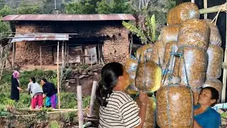 Hanging Mushrooms Bags | Nepali Village Mushroom farming Life Epi-13 | BijayaLimbu