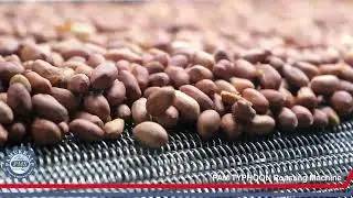PAM TYPHOON Full Automatic Roasting Line | Peanut Roaster #peanutroastingmachine #nutroastingmachine