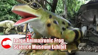 Science Museum Insect Exhibit - Large Animatronic Frog Model