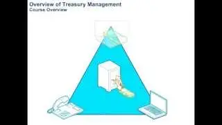 Overview of Treasury Management
