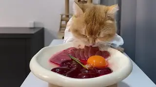 cat eat meatslices 🥩🥚🍳|cat eating sliced meat 🐓| ASMR cat mukbang #cat #cats