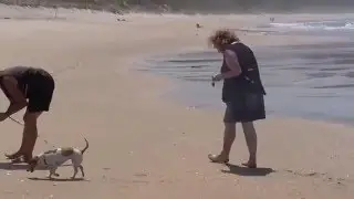 Opoutere Beach 2016