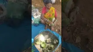 #shorts//बस्तर का प्रसिद्ध टिकुर बोबो// Bastar primitive life's