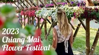 Chiang Mai&rsquo;s Flower Festival is Amazing! Northern Thailand Must Visit!