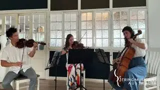 Timeless Elegance by the Sea | String Trio Wedding Performance at Jetty Beach House