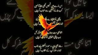 اس ڈر سے میں قمیض کبھی جھاڑتا نہیں ۔🤗🤗#shorts #Al-Qaaim.Majalis