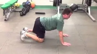 Crawl Position Hold
