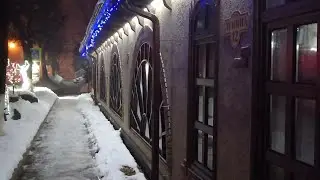 🤔🏕️❄️🐕БЕЛАРУСКАЯ❄️ ДЕРЕВЕНЬКА. После Рождества.А мороз крепчает!НИКА И Снег. Ночной видос к. Видзы 🐕