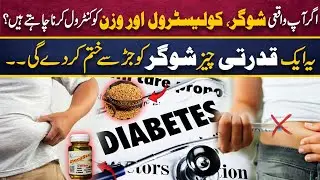 Diabetes Support Naturally: 8 Proven Benefits of Fenugreek for Sugar, Cholesterol & Weight!