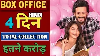 Most Eligible Bachelor Movie 4th Day Box Office Collection |Akhil Akkineni | Pooja | Latest Movie