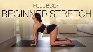 Beginners Upper Body Stretch with Yoga Blocks for Flexibility and Posture!