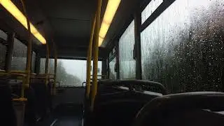 Heavy Rain on the Bus Window 🌧️ Dark Night Ambience for Deep Sleep & Relaxation