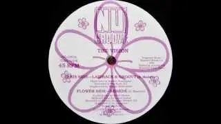 The Vision - Laidback & Groovy