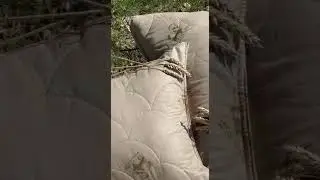 Подушка из коллекции 