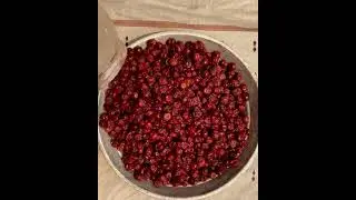 Barakoli dried pickel #shorts #shortvideo #short | By Nandini Ka Kitchen