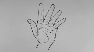 How To Draw A Hand | Hand Structure | Draw Hands Easy | #figuredrawing #figurestudy