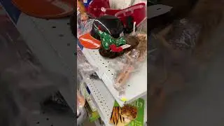 Thrift Store Model Muse Barbie Doll Jackpot!  Thrift with me for Dolls! #thrifthaul #barbiecollector