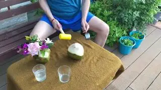 How to open a coconut safely in 5 seconds. Coconut opener / Kokosnuss &Ouml;ffner / 開椰子工具