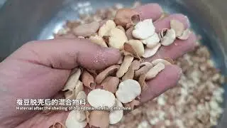 Broad Bean Shelling Machine Dehuller/ Peeling Machine