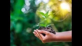 Enterprise Environmental Factors