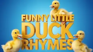 English Learning Song About Ducks | Fun Nursery Rhyme for Kids with Quack Quack and Melody