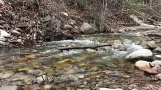 Junction Creek Nature Walk Song   HD 720p