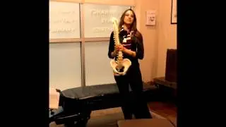 Websters Technique Chiropractor