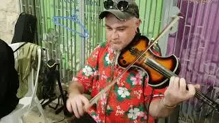 Hire Israeli world music band  MASA - Jewish, Israeli, Balkan-Gypsy Punk, Irish, Ethnic-Fusion, Rock
