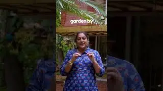How to Attract Butterflies & Bees to Your Garden Naturally