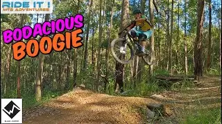 Boogieman Black Diamond Trail @ Wedding Bells State Forest Arrawarra