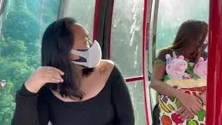 Ocean Park Hongkong | Cable Car | Penguin Encounter | Big Panda