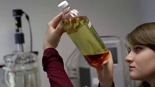 Bioenergy America&rsquo;s Energy Future