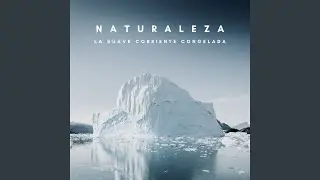 Abejas Zumbando