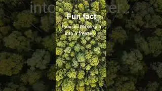 Awesome fact 😱 #facts #reels #funfacts #funfact #awesome #cool #viral