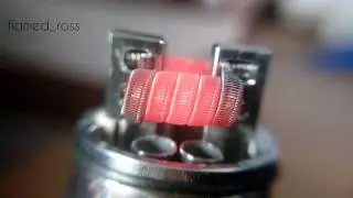 Staple Staggered Fused Clapton glowshot