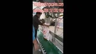 China Customized 50kg Fertilizer Packaging Machine packaging scales
