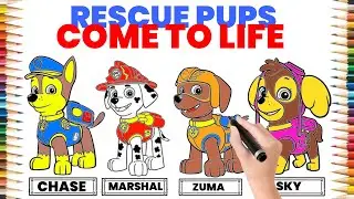 Paw Patrol Drawing Fun! Chase, Skye, Zuma & Marshall &ndash; ZooniToons