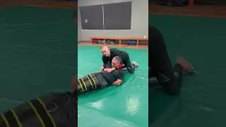 Совет по использованию системы WRAP Restraint